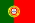 Portuguese Flag