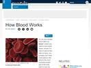 How Blood Works